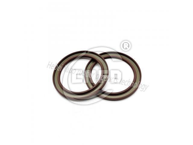 Oil seal:81965026045