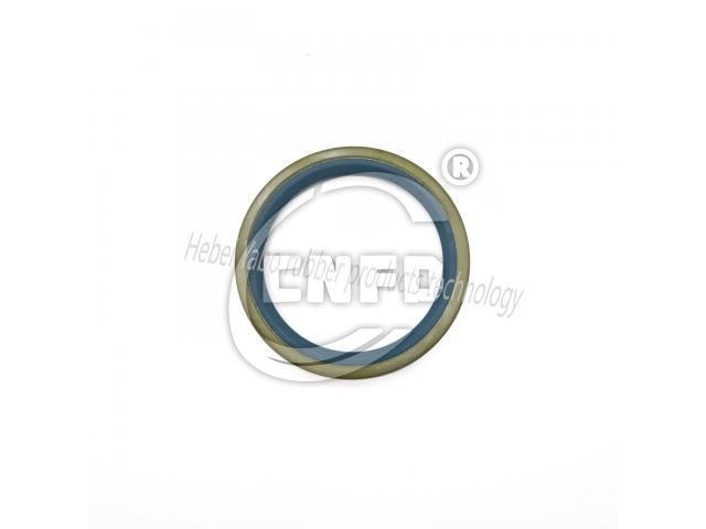 Oil seal:0179972847