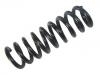 Coil Spring:210 324 33 04