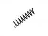 Coil spring:210 321 30 04