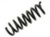 Fahrwerksfeder Coil spring:210 321 22 04