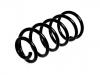 Coil spring:202 324 08 04