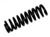 Coil spring:202 324 05 04