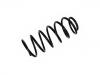 Muelle de chasis Coil spring:191 411 105 A