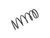 Muelle de chasis Coil spring:171 411 105 G