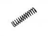 Coil spring:123 321 39 04