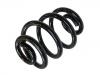 Coil Spring:33 53 1 138 284