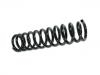 Fahrwerksfeder Coil Spring:51401-SK7-A02