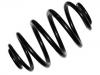 Fahrwerksfeder Coil Spring:251 511 105 A