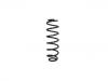 Coil Spring:1J0 511 115 AJ