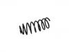 Coil Spring:1H9 411 105 G