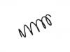 Coil Spring:1J0 411 105 R