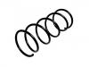 Fahrwerksfeder Coil Spring:60511575