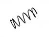 Muelle de chasis Coil Spring:48131-28140