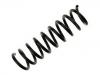 Coil Spring:202 321 22 04