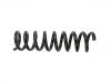 Coil Spring:202 324 21 04