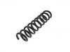 Coil Spring:202 321 20 04