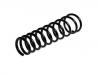 Fahrwerksfeder Coil Spring:60624992