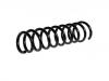 Coil Spring:8D5 511 115 G