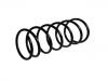 Fahrwerksfeder Coil Spring:5002.74