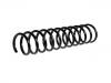 Coil Spring:30818684