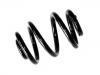 Coil Spring:701 511 105 A