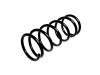 Coil Spring:4026123