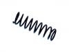 Fahrwerksfeder Coil Spring:6 991 166