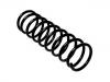 圈状弹簧 Coil Spring:6 157 902