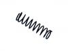 Coil Spring:6 194 715