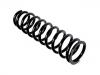 Coil Spring:6NO 411 105 A