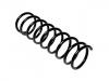 Coil Spring:1 105 118