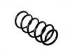 Coil Spring:6N0 411 105 T