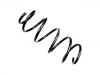 Coil Spring:1 430 763