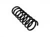 Coil Spring:996 054