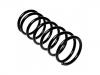 Ressort hélicoidal Coil Spring:55350-24500