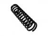 Coil Spring:201 321 2104