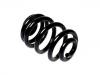 Coil Spring:638 324 06 04