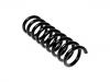 Coil Spring:202 324 18 04