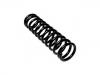 Coil Spring:201 321 2004