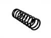 Coil Spring:91AB 5560 FB