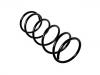 Coil Spring:1 066 484