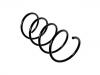 Coil Spring:203 321 40 04