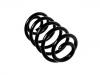 Coil Spring:639 324 05 04