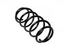 Fahrwerksfeder Coil Spring:312 810