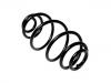 Coil Spring:9118379