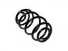 Coil Spring:424061