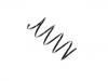 Coil Spring:168 321 2704