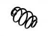 Fahrwerksfeder Coil Spring:424057