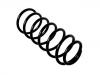 Coil Spring:191 411 105 P